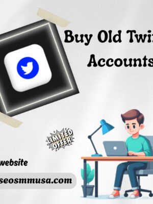 buy old twitter accounts